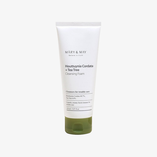 Houttuynia Cordata + Tea Tree Cleansing Foam