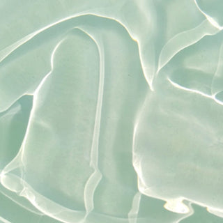 Aloe Soothing Gel Moisture Type