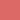 09 Litchi Coral