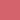 #15 Beauty Peak Rose