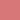 26 Apricot Peach