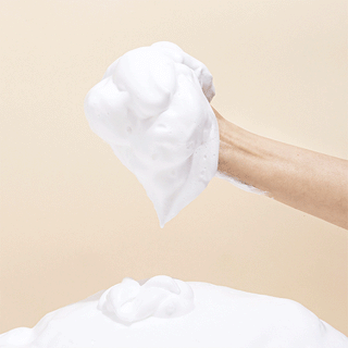 Houttuynia Cordata + Tea Tree Cleansing Foam